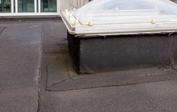 disadvantages of Ridsdale flat roofs