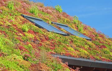 Ridsdale living roof systems